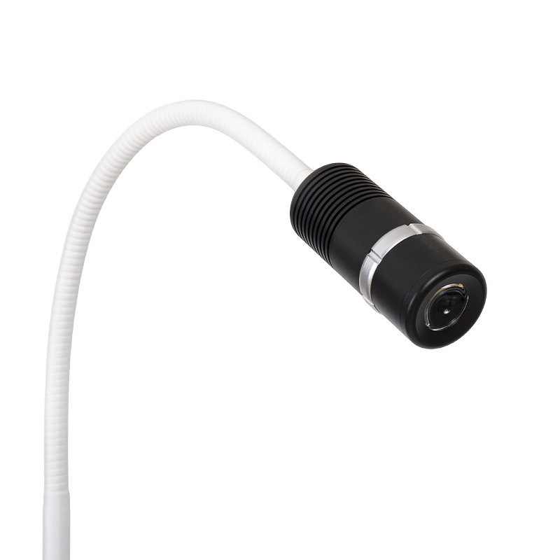 Lámpara de examen de cuello de cisne ajustable con tamaño de punto LED de 12 W Lámpara de examen de cuello de cisne ajustable con tamaño de punto LED de 12 W