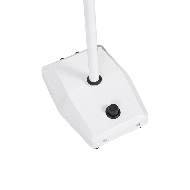 Lámpara de examen con soporte de un solo orificio y bombilla halógena de 25 W Lámpara de examen con soporte de un solo orificio y bombilla halógena de 25 W